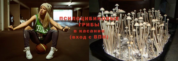 хмурый Бронницы