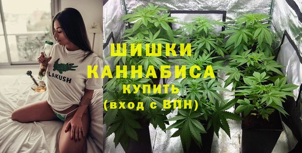 хмурый Бронницы
