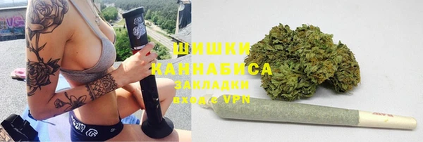 хмурый Бронницы
