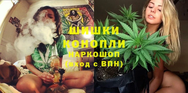 сатива Бугульма
