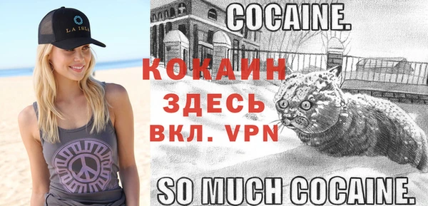 хмурый Бронницы