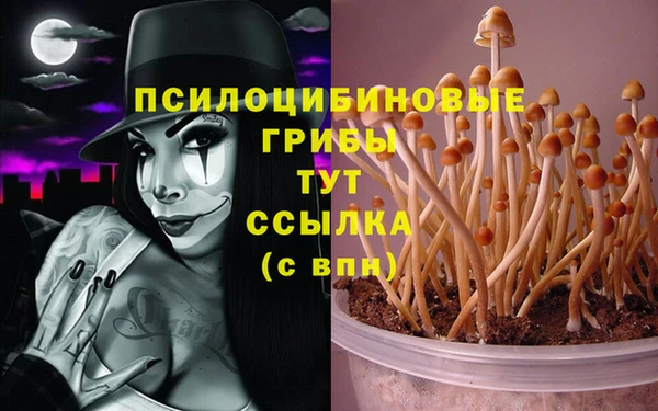 стафф Верхнеуральск