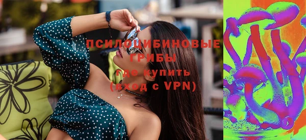 сатива Верея