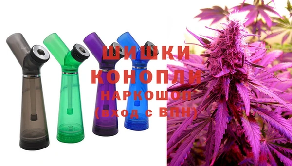 сатива Бугульма