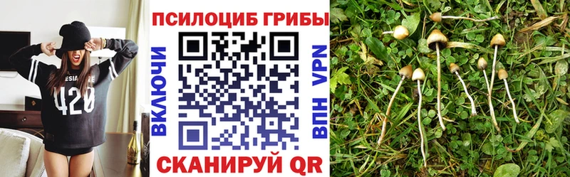 Галлюциногенные грибы Magic Shrooms  Грайворон 